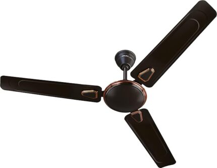 Bajaj Ceiling Fan 48" Edge Dark Brown