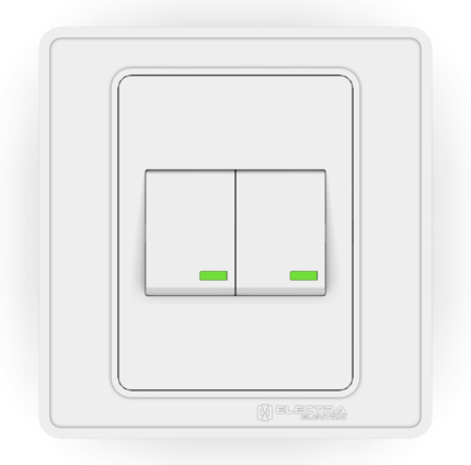 Electra 10A 2 Gang 1 Way Switch
