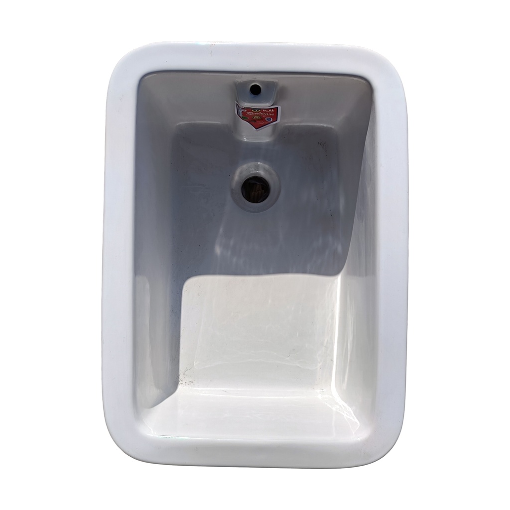 RALISA - Lab Sink 20X14x6"