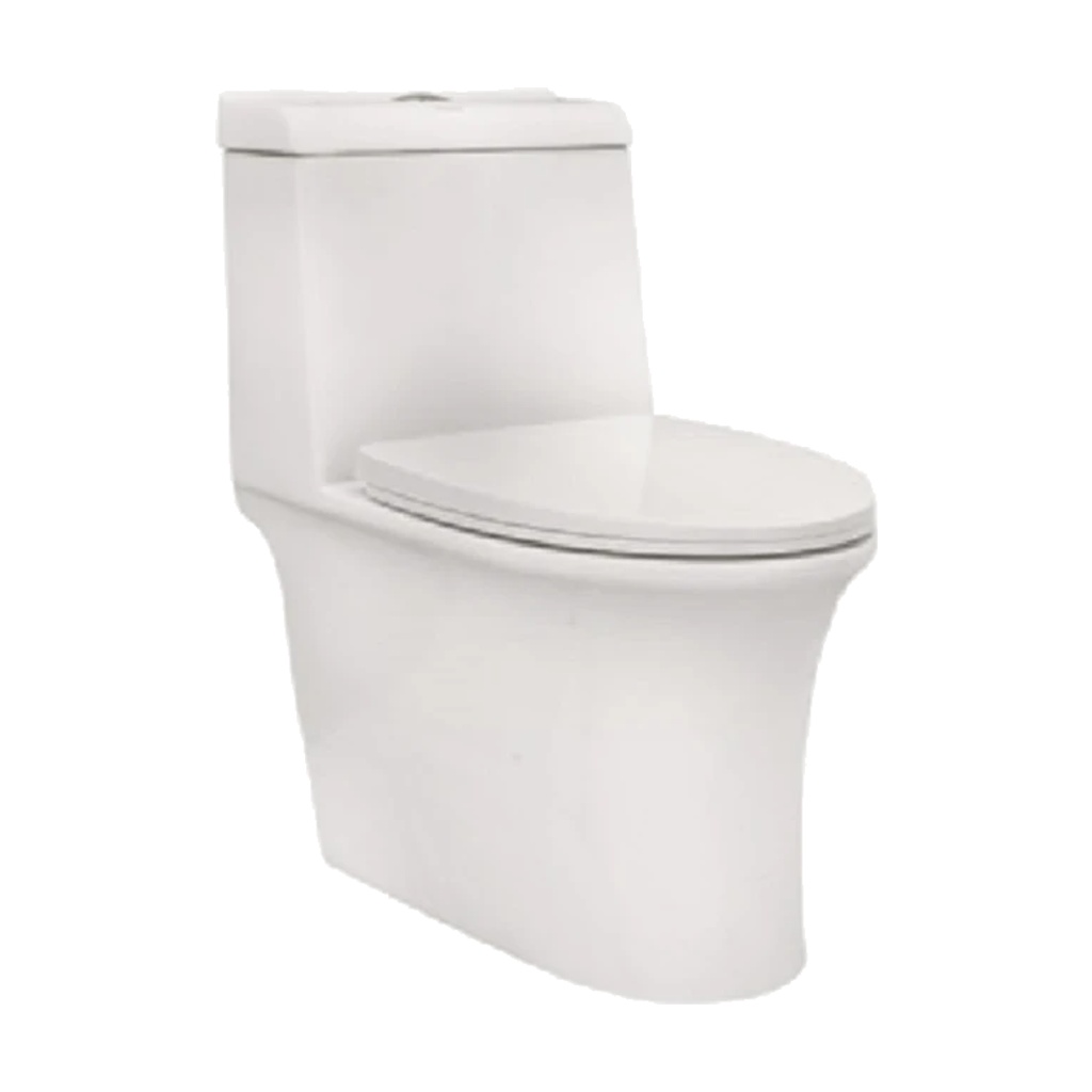 REEVE SINGLE PIECE CLOSET 220MM S TRAP -