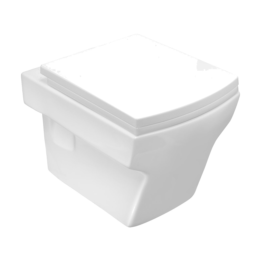 CAMEL 19" WALL HUNG TOLIET - WHITE COLOR