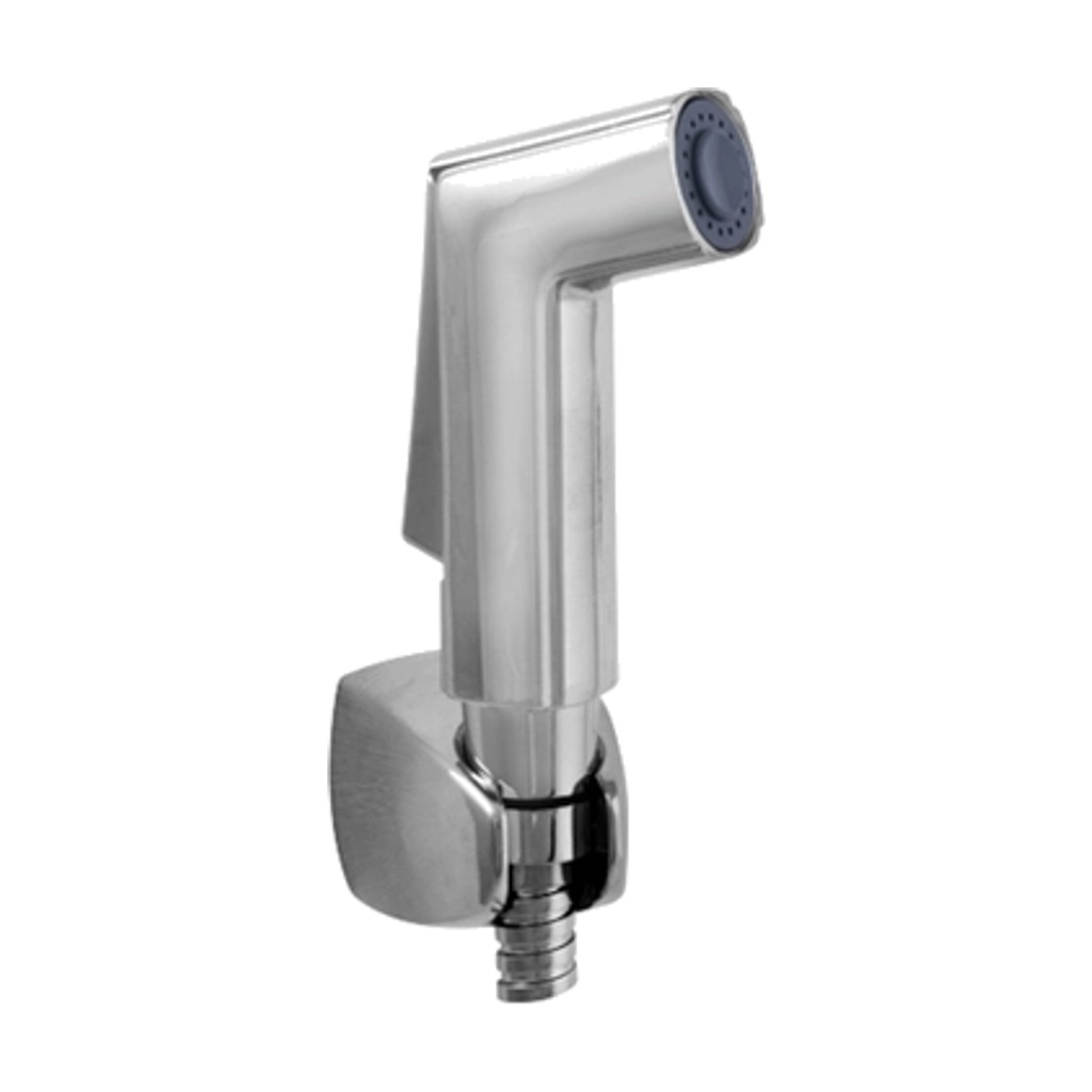 CRUST HEALTH FAUCET WITH HOSE & HOOK.