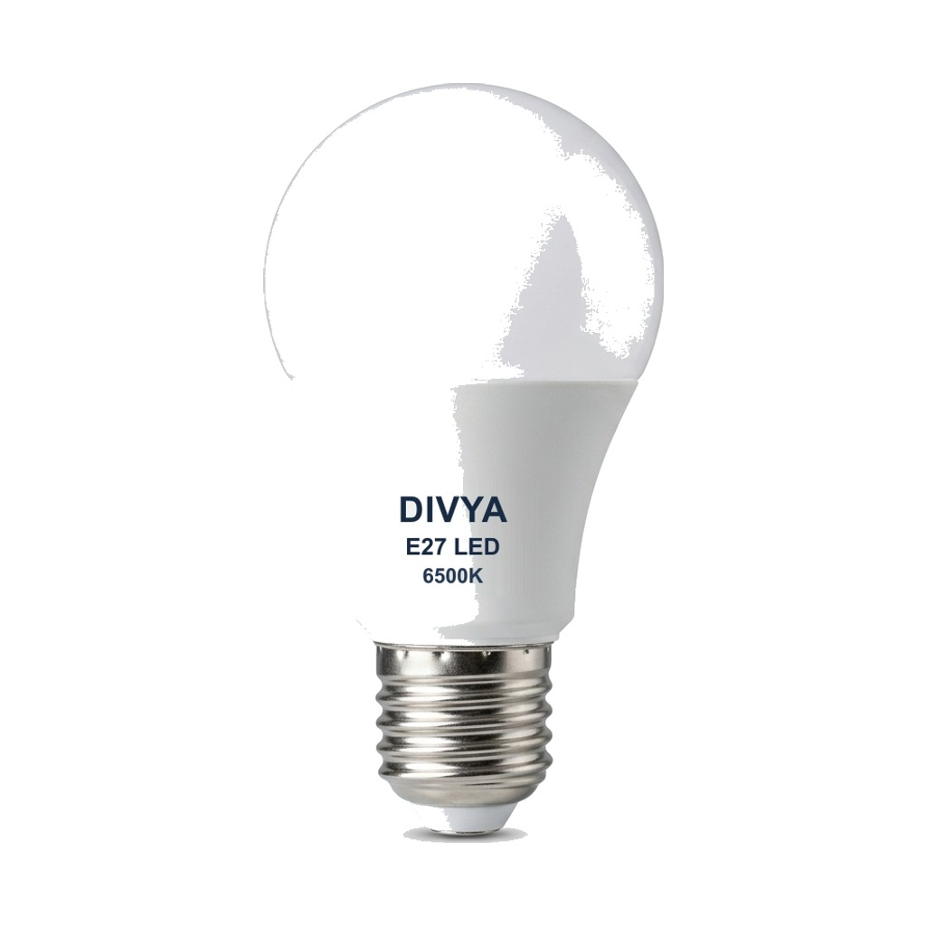 Divya E27 Screw-Type LED Bulb