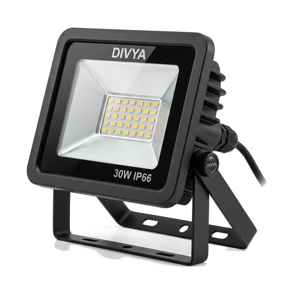 Divya Outdoor Flood Light