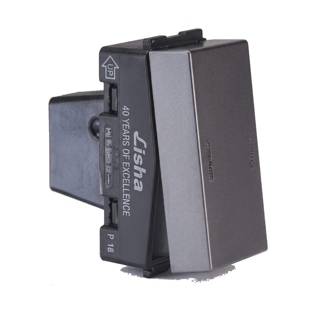 Lisha 10A 1w Switch 1M GG