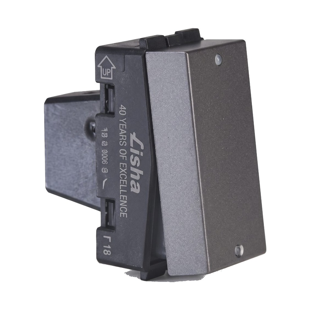 Lisha 10A 2w Switch 1M GG