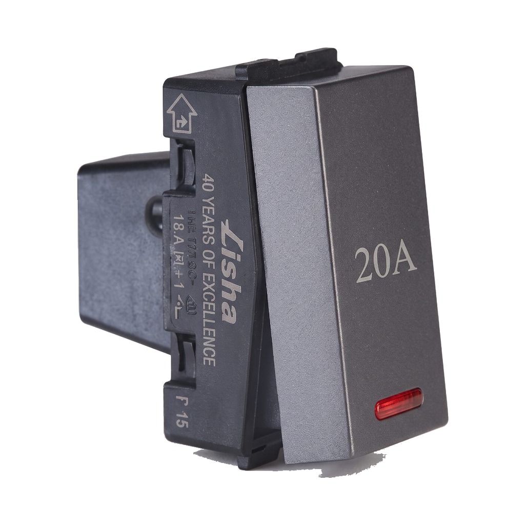 Lisha 20A 1w Switch with Ind. 1M GG