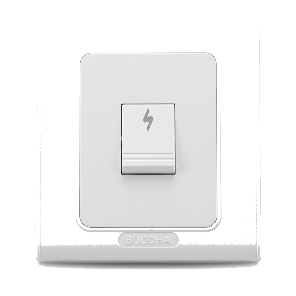 Buddha 1 Gang Switch