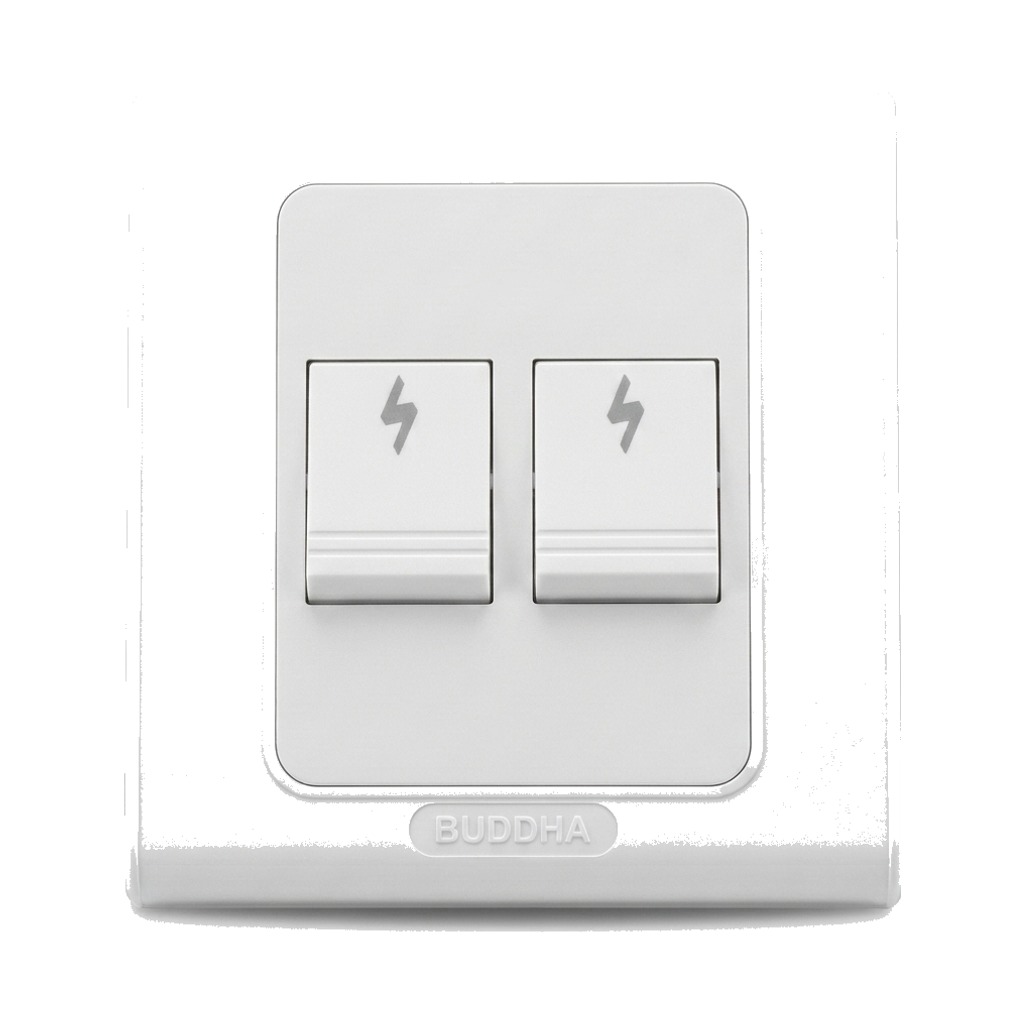 Buddha 2 Gang Switch