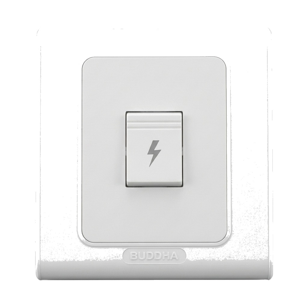 Buddha 1 Gang 2 Way Switch