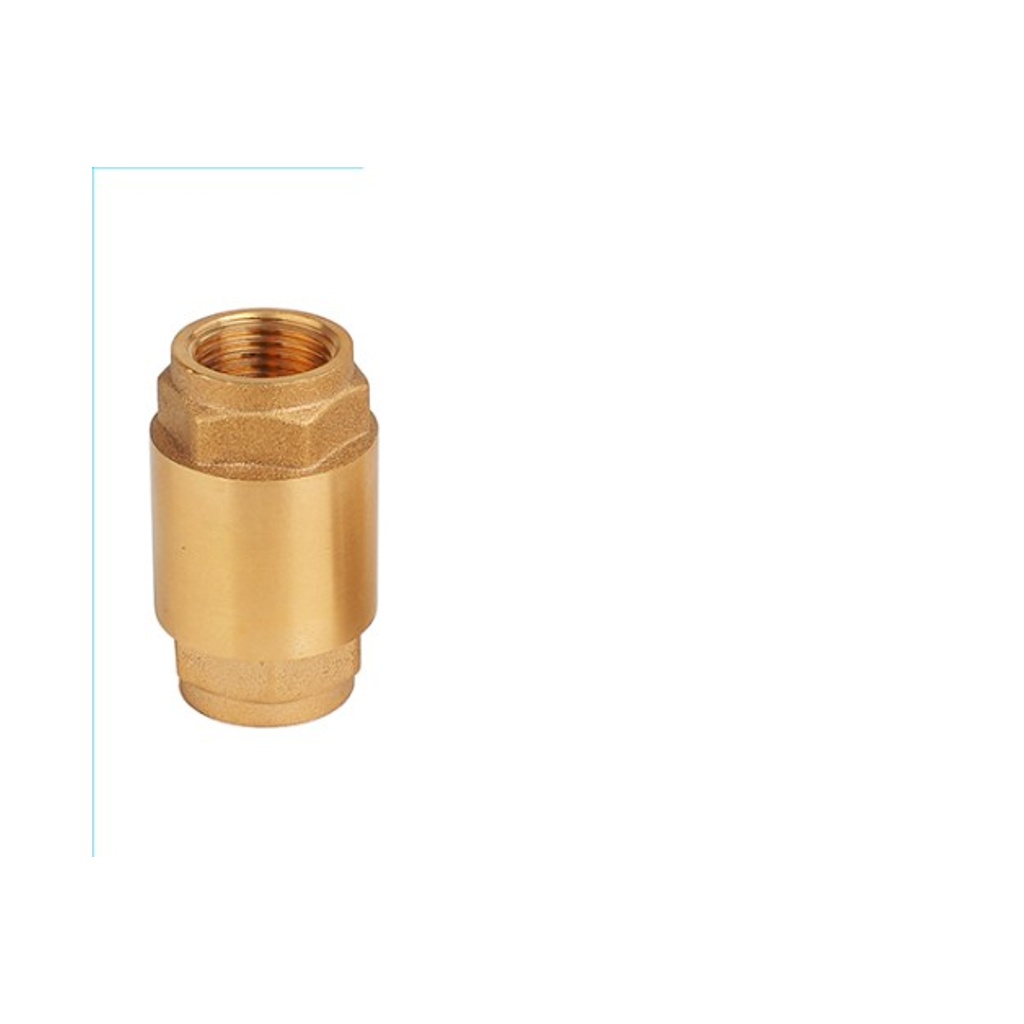 Brass Check Valve (Vertical)