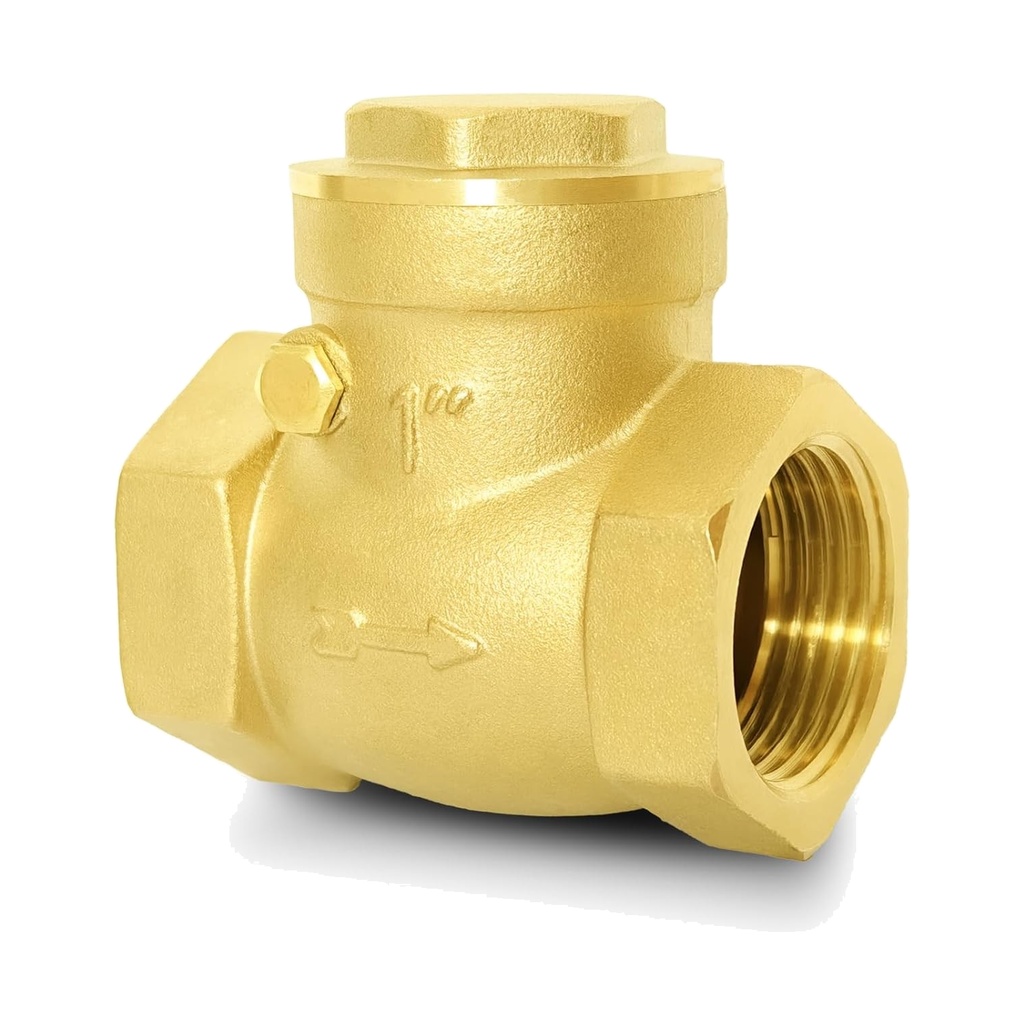Brass Non Return Valve (Horizontal)