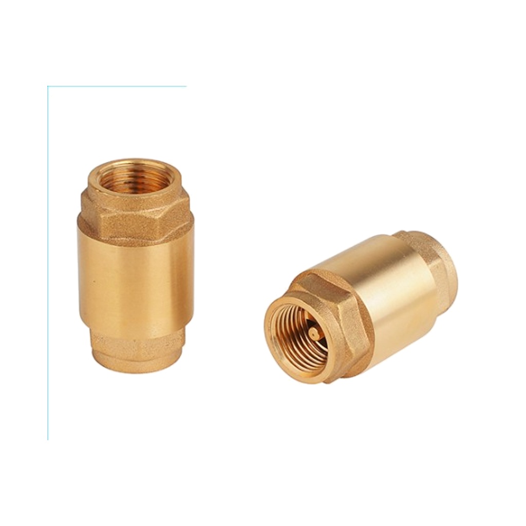 Chinese Brass Check Valve