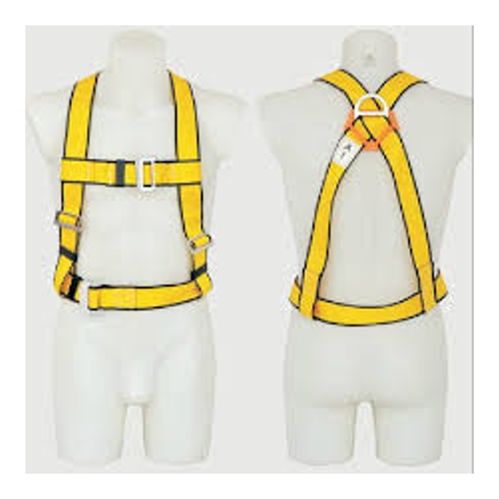 Tiger Safety Harness Belt