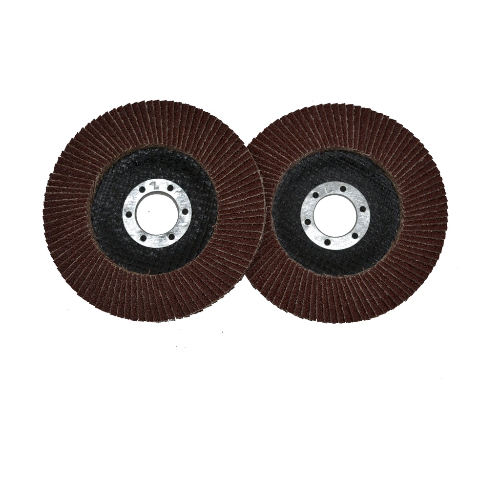 Flap Disc small