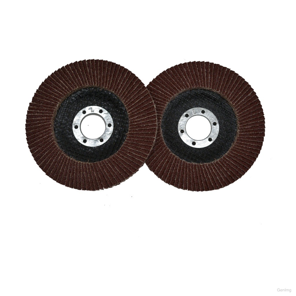 Flap Disc small
