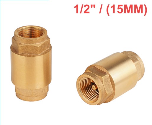 Chinese BRASS CHECK VALVE