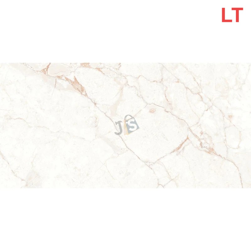 Palasia BR LT (300X600 MM)