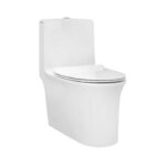 AQUILINE Single Piece Commode - C890146  (Parryware)