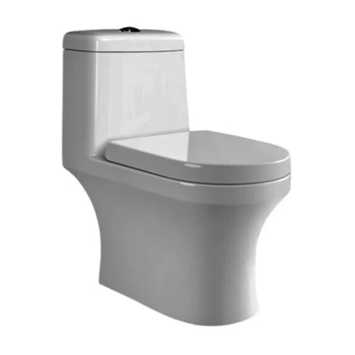 JOY SINGLE PIECE COMMODE - C891746 (Parryware) - Image 1