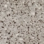 MARCO NERO 600X1200MM - (Varmora Tiles) - Image 6