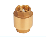 Chinese Brass Check Valve - Image 3