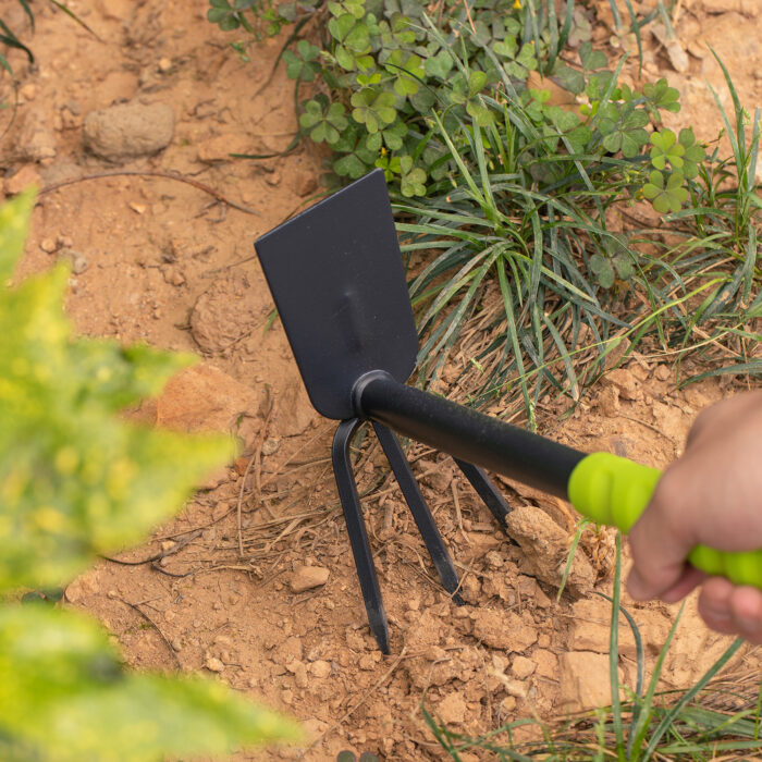 Deli Three Piece Set Size 31cm - Image 4