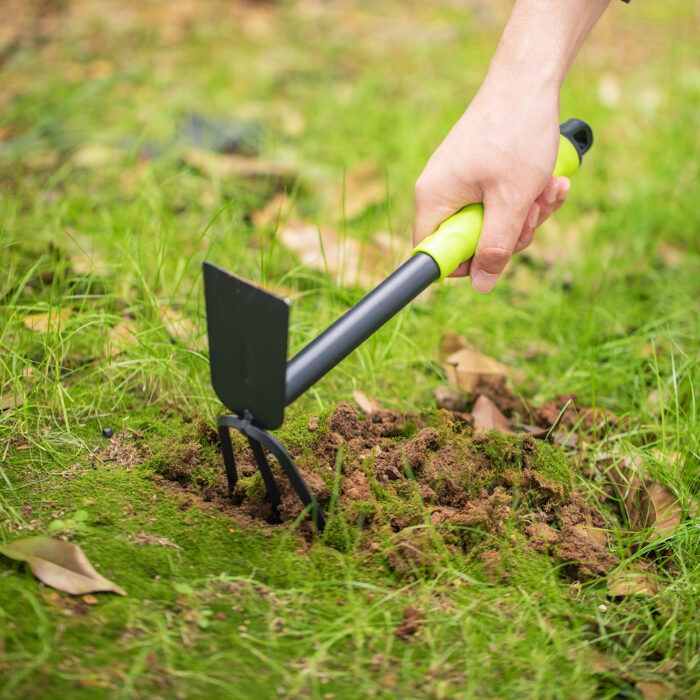 Deli Three Piece Set Size 31cm - Image 7