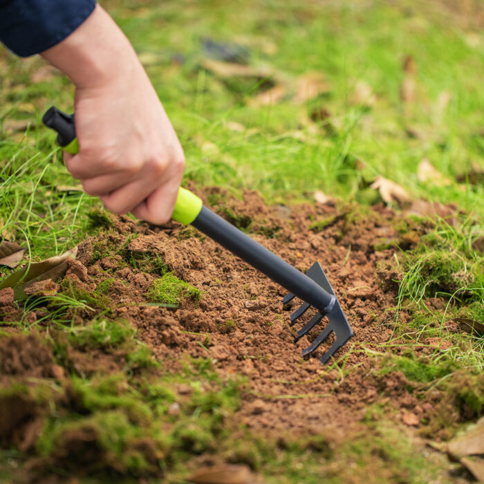 Deli Three Piece Set Size 31cm - Image 8