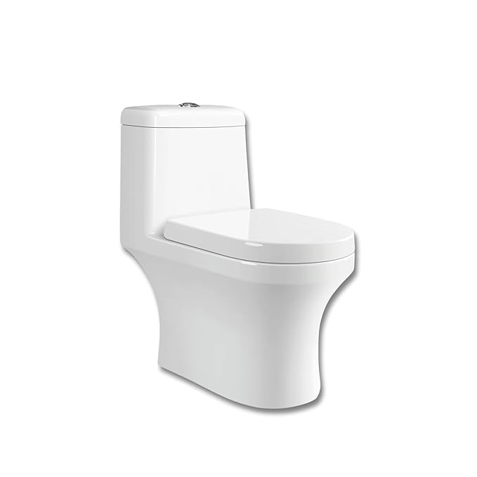 51tBXjq4rEL._SX679_ Brive SP Siphonic Closet S-305 Mm - Image 1