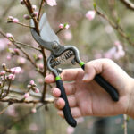 Deli Garden Shears 8 Inch - Image 7