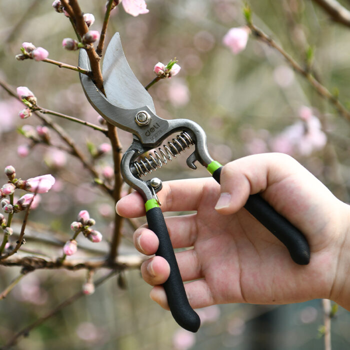Deli Garden Shears 8 Inch - Image 7